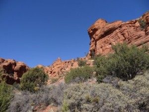 DSC00331