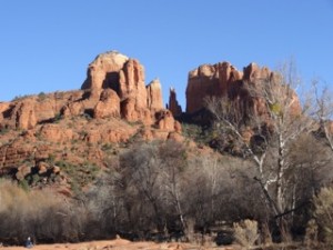 DSC00367